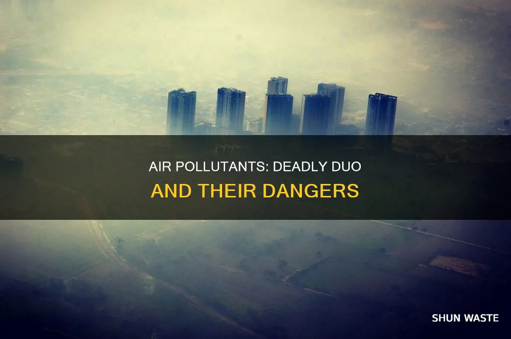 which 2 of the 6 common air pollutants are dangerous