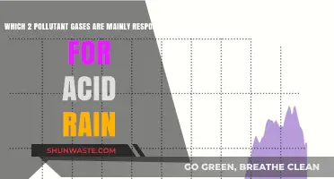 Acid Rain: The Culprits Behind It