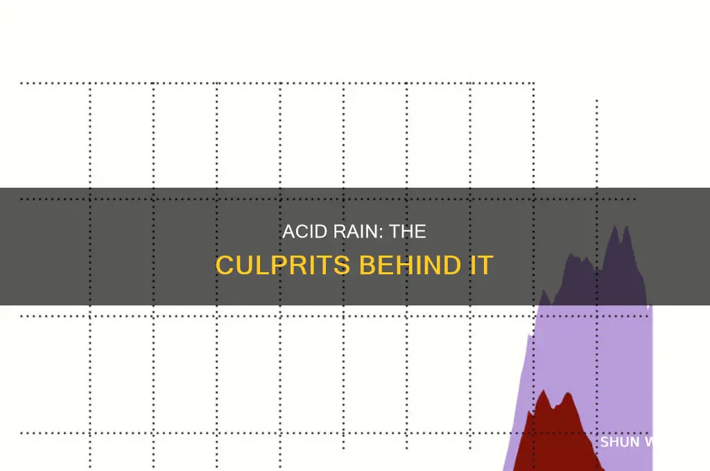 which 2 pollutant gases are mainly responsible for acid rain