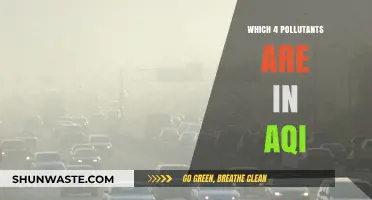 Air Quality Index: These Pollutants Affect Your Health