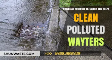Protecting Estuaries: How the Clean Water Act Helps