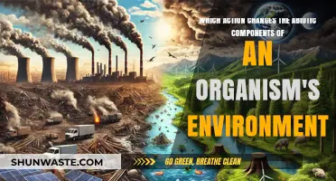 How Human Activities Alter Abiotic Environmental Factors: Key Actions Explained