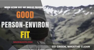 Missteps in Matching: Actions That Disrupt Person-Environment Harmony