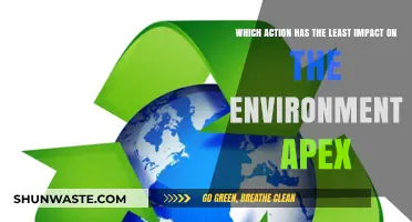 Eco-Friendly Choices: Which Action Minimizes Environmental Impact the Most?