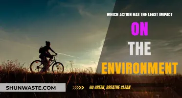 Eco-Friendly Choices: Which Action Minimizes Environmental Impact?
