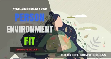 Finding Harmony: Actions That Foster a Good Person-Environment Fit
