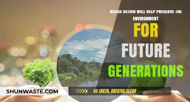 Sustainable Steps: Preserving Our Planet for Future Generations