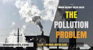 Green Activities: Solving Pollution Problems