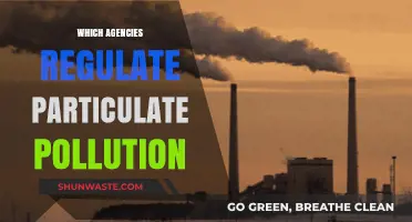 Agencies Controlling Particulate Pollution: Who's Responsible?