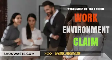 Filing a Hostile Work Environment Claim: Which Agency Handles It?