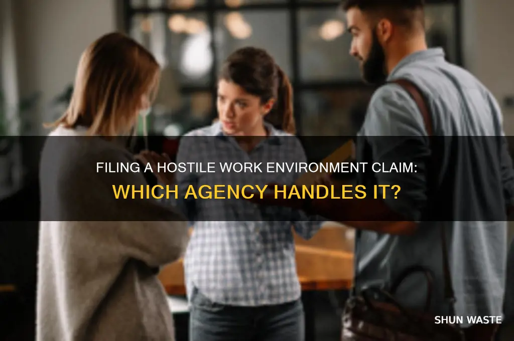 which agency do i file a hostile work environment claim