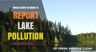 Maine's Lake Pollution: Who to Report to?