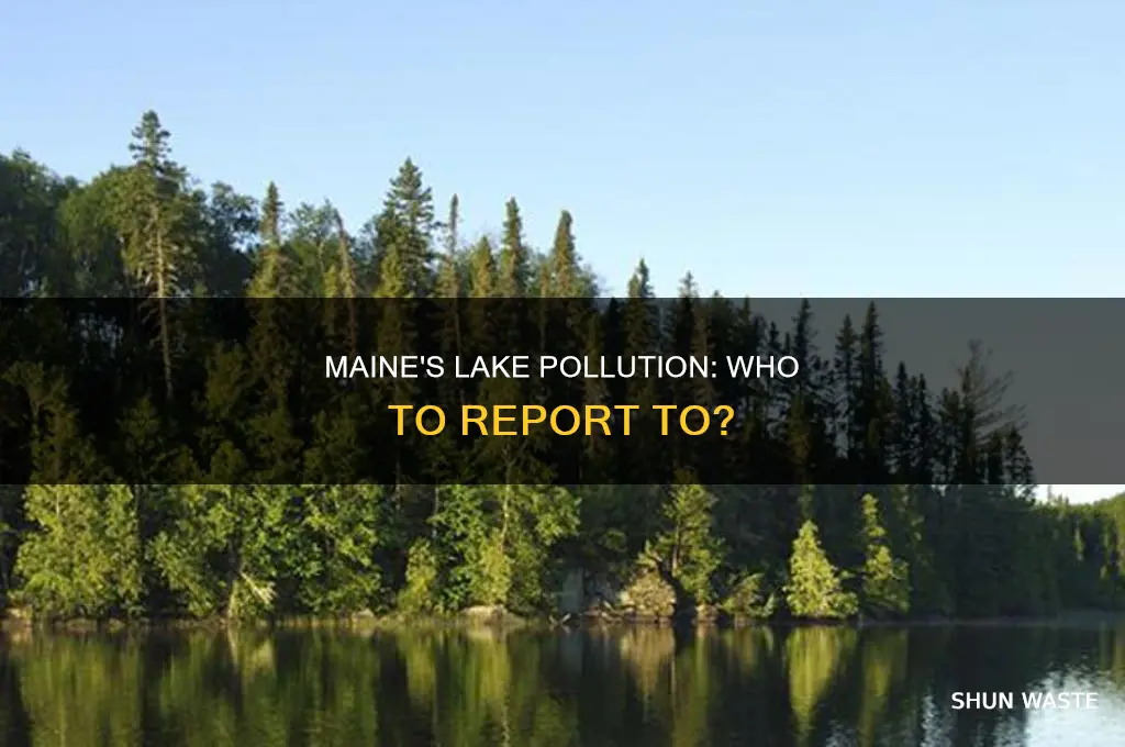 which agency in maine to report lake pollution