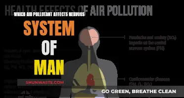 Air Pollutants: The Silent Attack on Our Nervous System