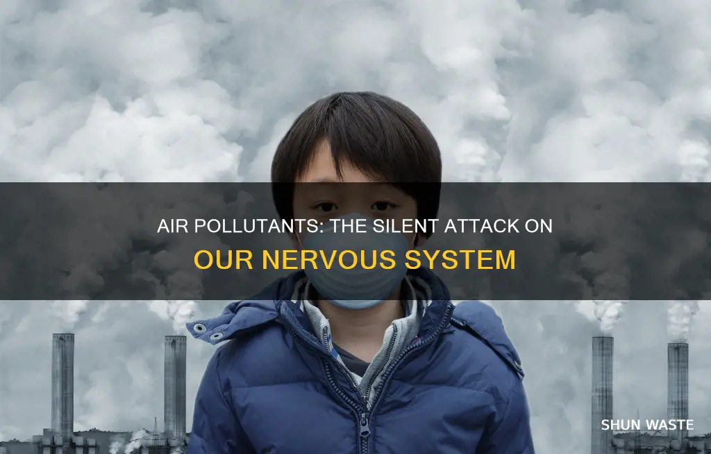 which air pollutant affects nervous system of man