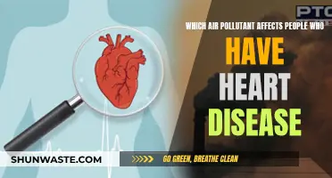 Heart Disease and Air Pollution: What's the Link?