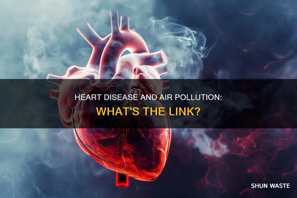 which air pollutant affects people who have heart disease