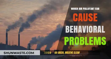 Unveiling the Link: Air Pollution and Behavioral Changes