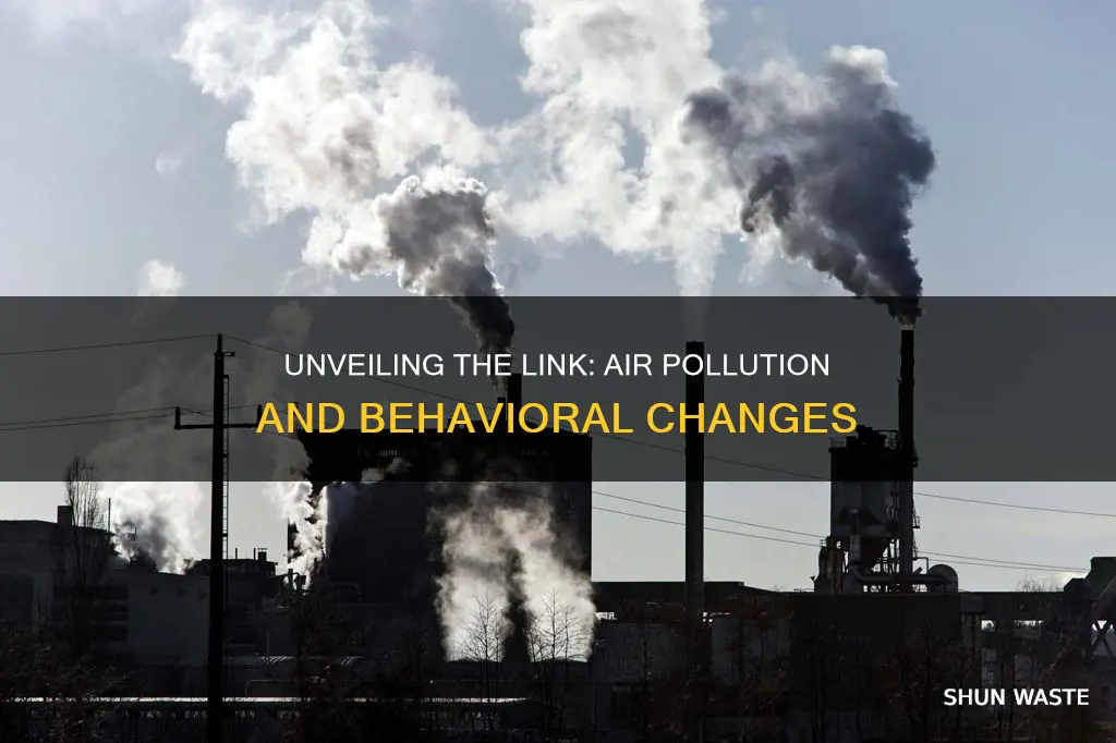 which air pollutant can cause behavioral problems