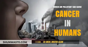 Unveiling the Hidden Killer: Air Pollutant Linked to Cancer