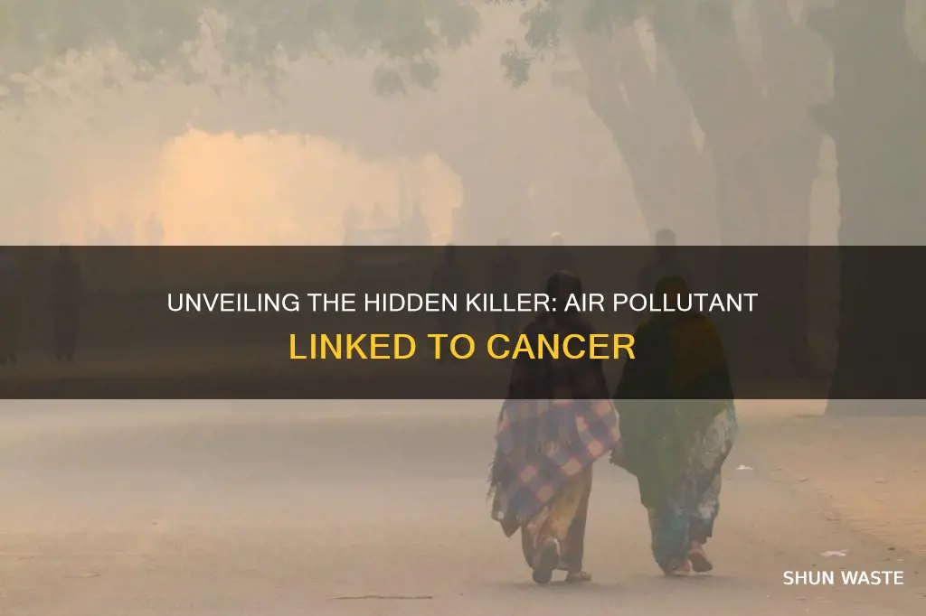 which air pollutant can cause cancer in humans