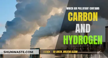 Hydrocarbons: Air Pollutants With Carbon and Hydrogen