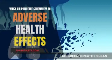 Air Pollutants: Their Harmful Impact on Our Health