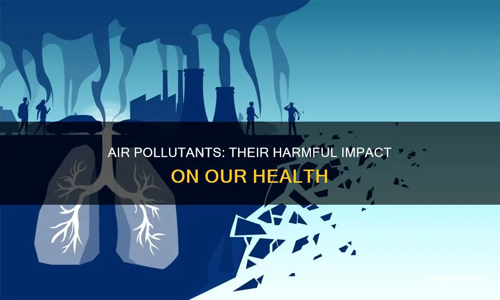 which air pollutant contributes to adverse health effects