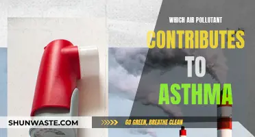 Air Pollutants: Asthma's Silent Partners