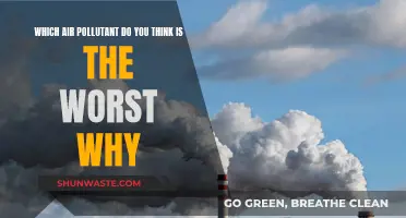 Air Pollutants: What's the Deadliest?