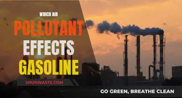 Gasoline and Air Pollution: A Complex Relationship