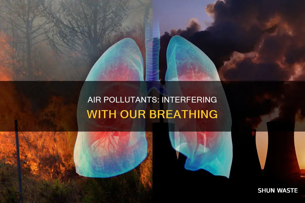 which air pollutant interferes with the ability to exchange gasses
