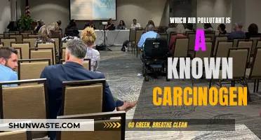 Air Carcinogens: What Pollutants Cause Cancer?