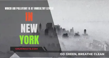Air Pollution Alert: New York's Unhealthy Air Quality