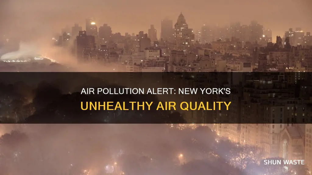 which air pollutant is at unhealthy levels in new york