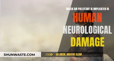 Air Pollutant: Neurological Damage to Humans