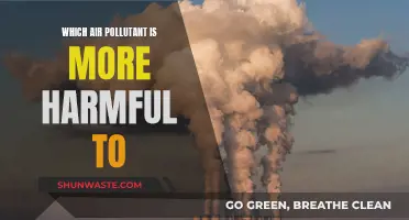 Air Pollutants: Understanding Harmful Impacts on Health