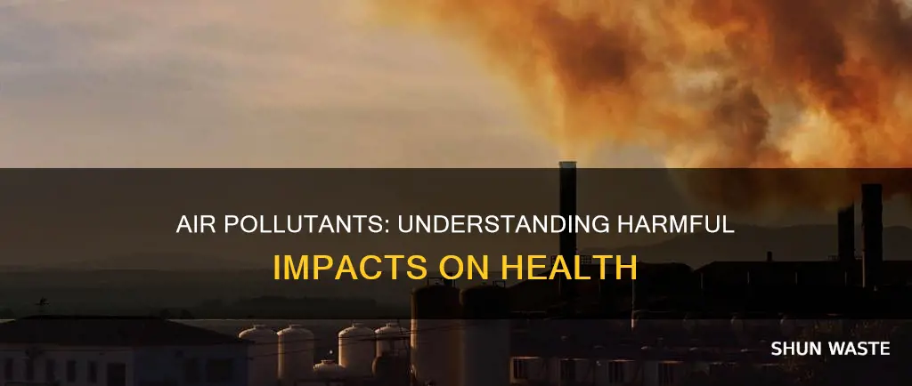 which air pollutant is more harmful to