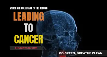 Air Toxins: Second Leading Cause of Cancer
