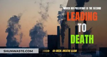 Air Pollution's Deadly Duo: Uncovering the Second Killer