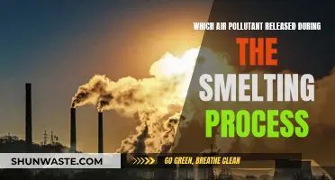 Air Pollution: Smelting's Toxic Legacy