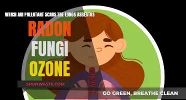 Lung-Scarring Air Pollutants: Asbestos, Radon, Fungi, and Ozone