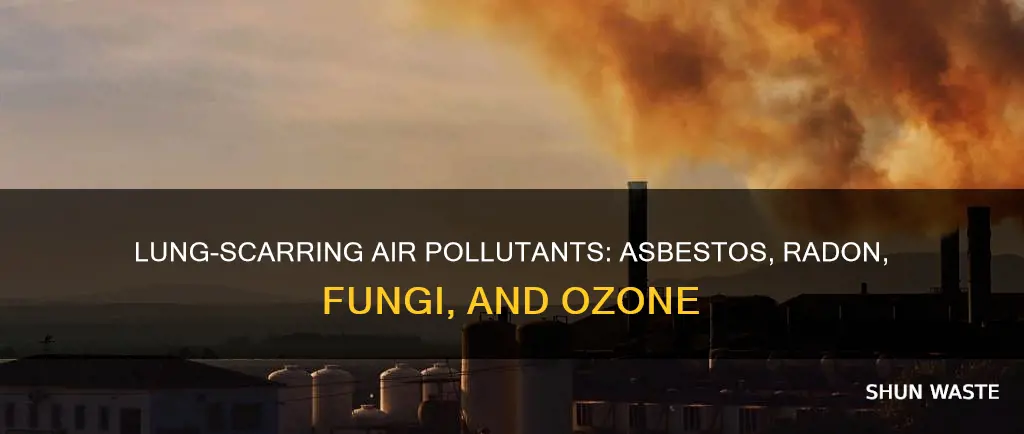 which air pollutant scars the lungs asbestos radon fungi ozone