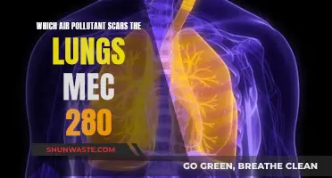 Lung-Scarring Air Pollutants: A Silent Danger in Our Midst