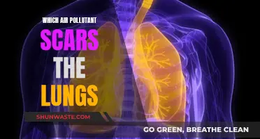 Air Pollution: The Scarred Lungs' Story