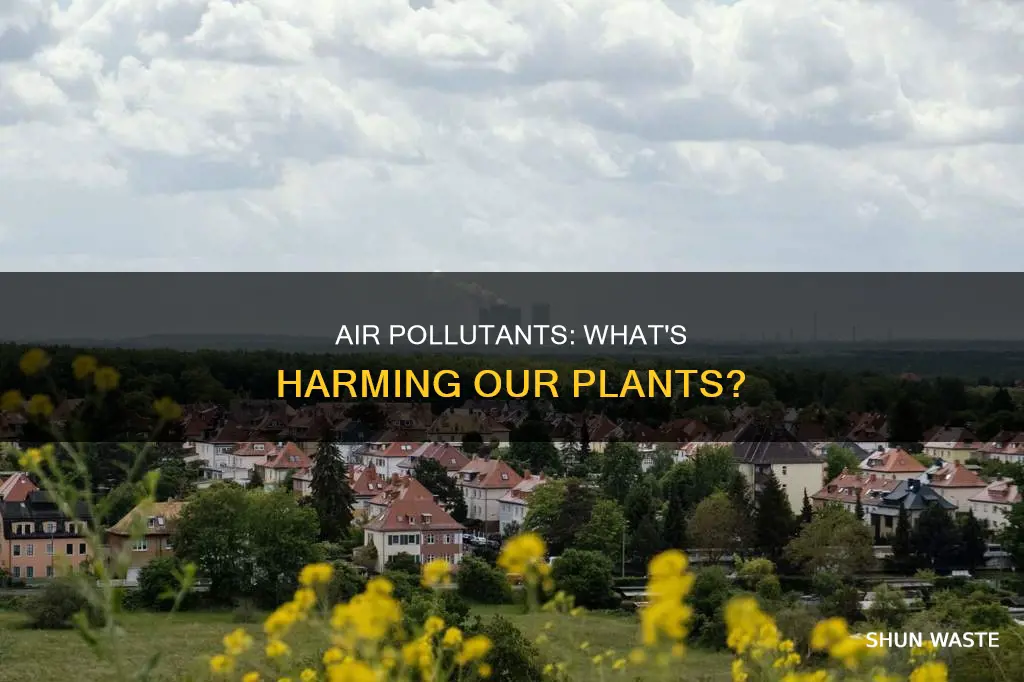 which air pollutants are most hazardous to plants