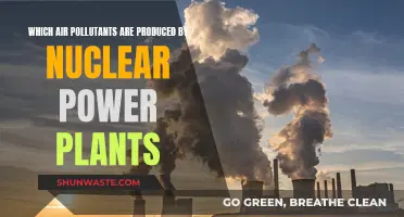 Air Pollutants from Nuclear Power Plants: What's the Risk?