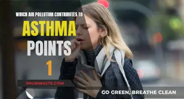 Air Pollution's Asthma-Inducing Effects