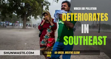 Air Pollution Crisis in Southeast: A Growing Concern