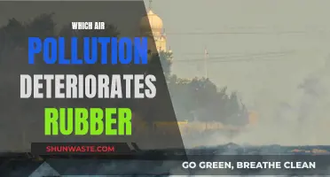 How Air Pollution Impacts Rubber Deterioration